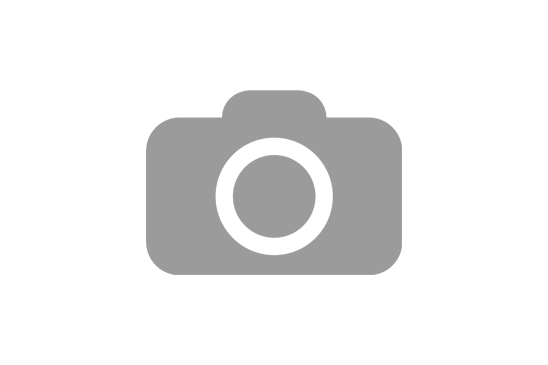 Galium libanoticum Ehrendorfer - 2